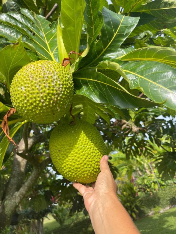 ApomaoroPk 35别墅 外观 照片
